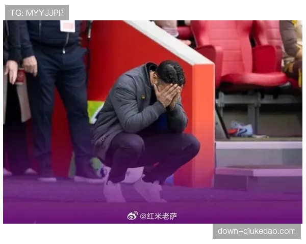 布莱顿1-1布伦特福德，刘易斯-波特建功难救主