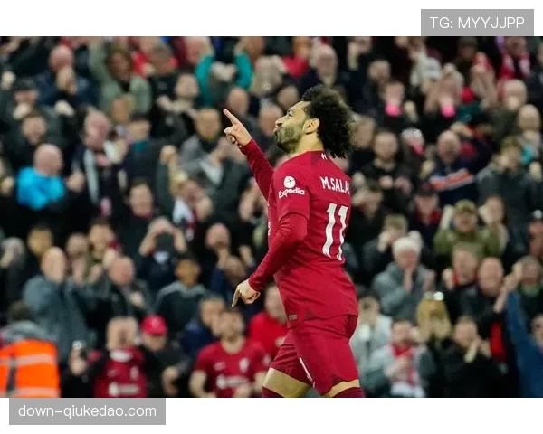 布莱顿主场迎战桑德兰,升班马客场战绩成隐患 布莱顿主场迎战桑德兰,升班马客场战绩成隐患